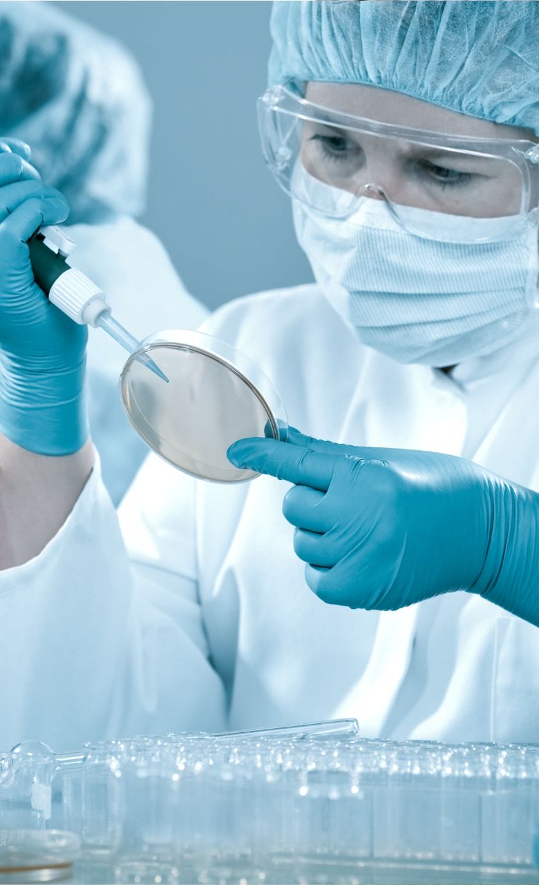 At the laboratory