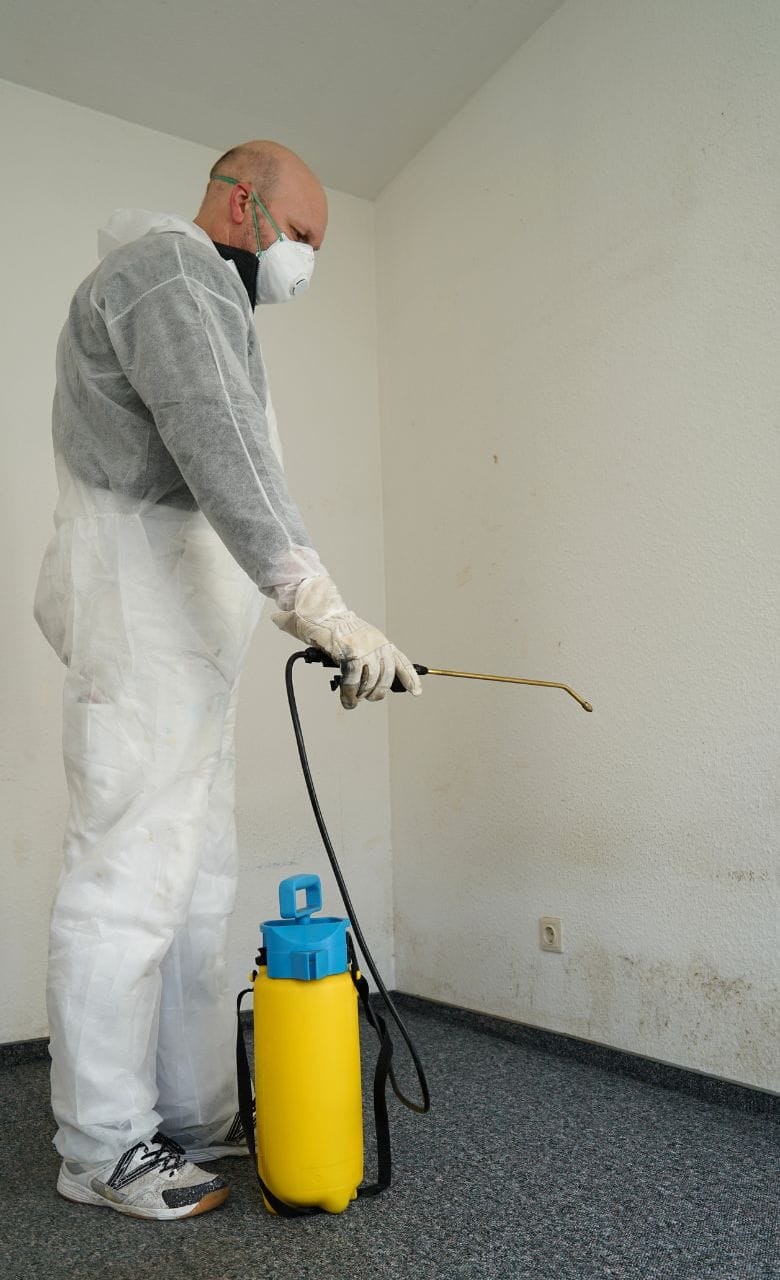 Removing mold